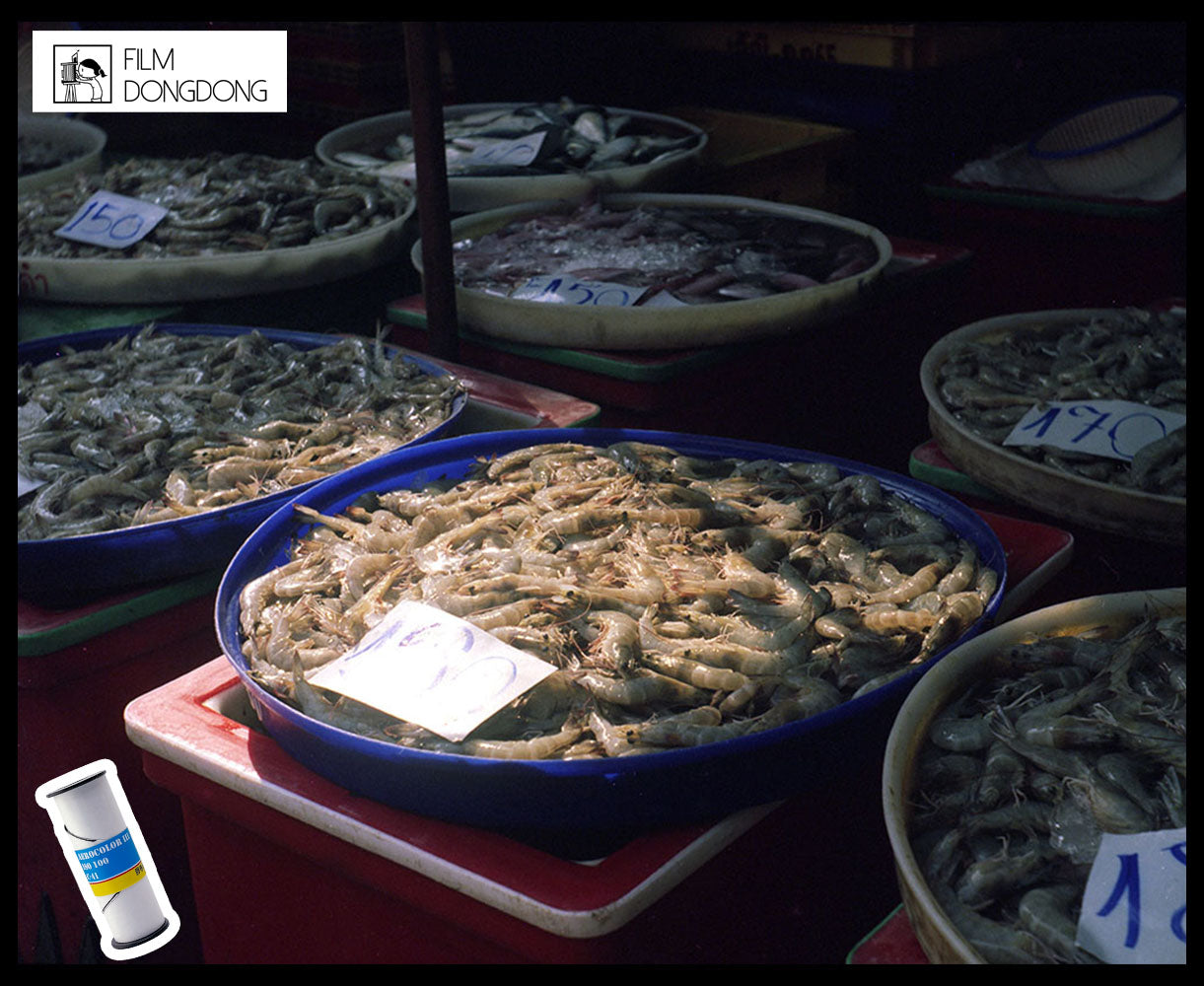 FIILMDONGDONG AEROCOLOR III,ISO100,C-41,120 Color Negative Film