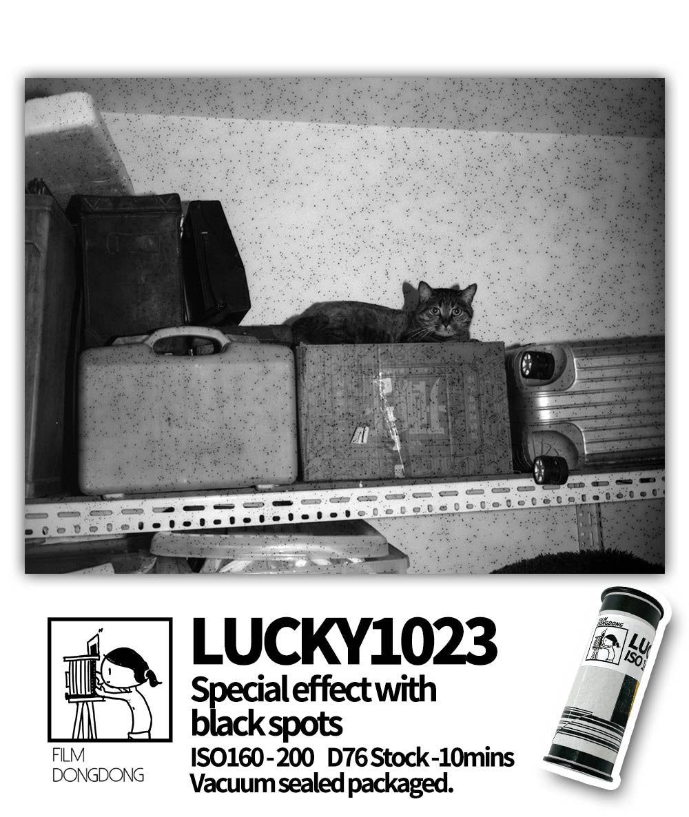 5 rolls, Lucky1023 B&W 120film with black spots(for practicing/camera testing)