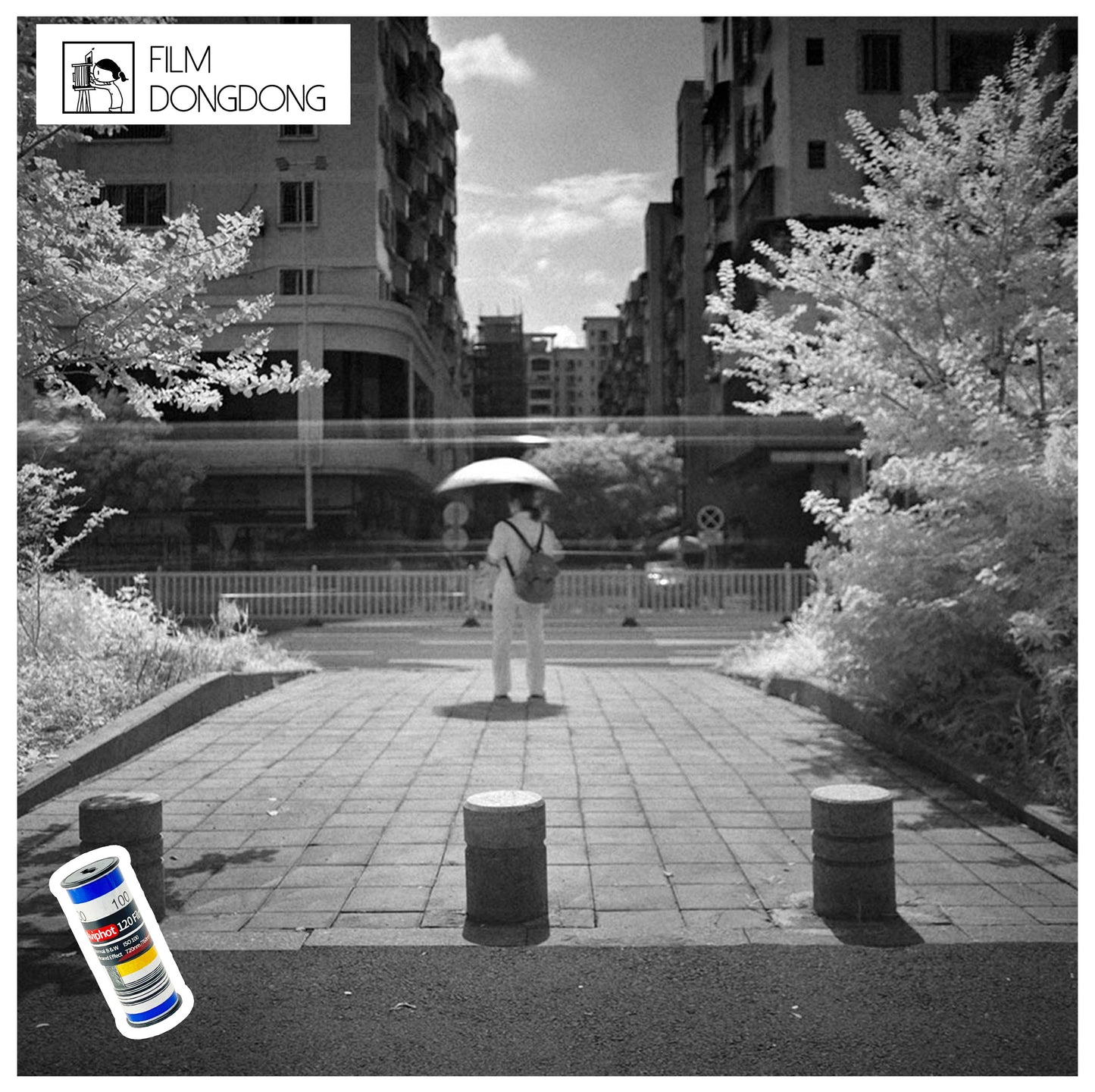 FIILMDONGDONG 120film, Aviphot Infrared/ Black & White 120 Film, ISO 100
