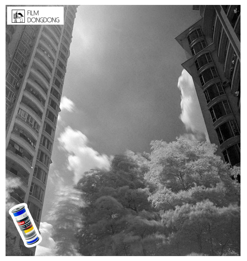 FIILMDONGDONG 120film, Aviphot Infrared/ Black & White 120 Film, ISO 100
