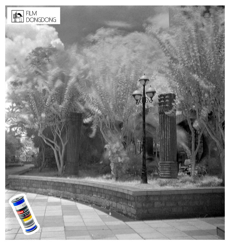 FIILMDONGDONG 120film, Aviphot Infrared/ Black & White 120 Film, ISO 100