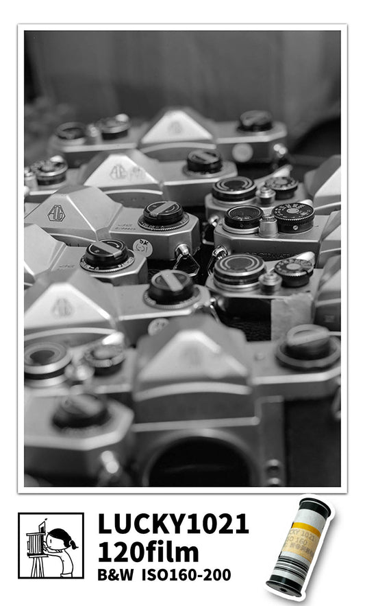FILMDONGDONG LUCKY1021 120Film,Black and White Negative Film, ISO160-200(120 Roll Film) for 120 camera
