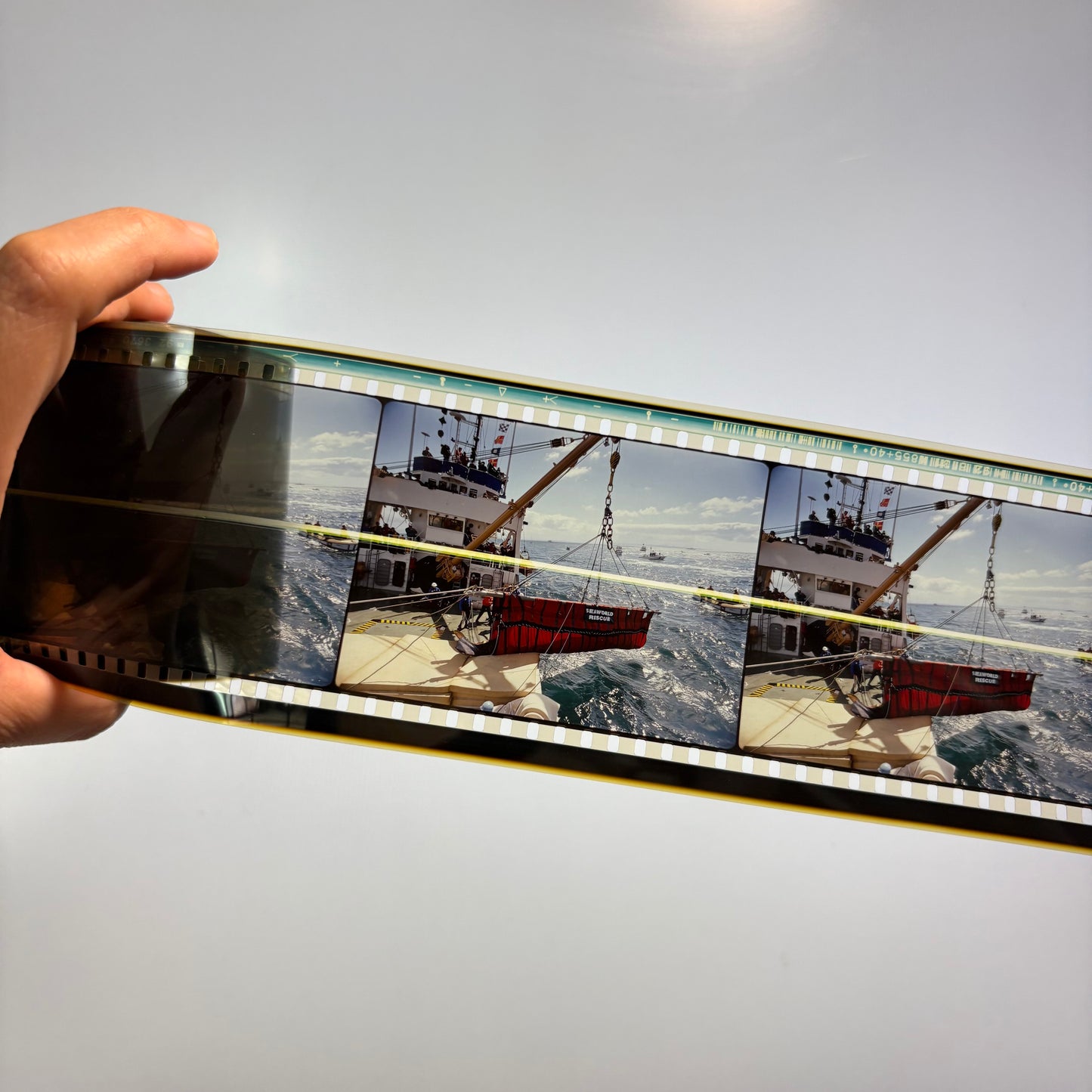 IMAX Screening Film cells,bookmark-Saving Whales Red Bag