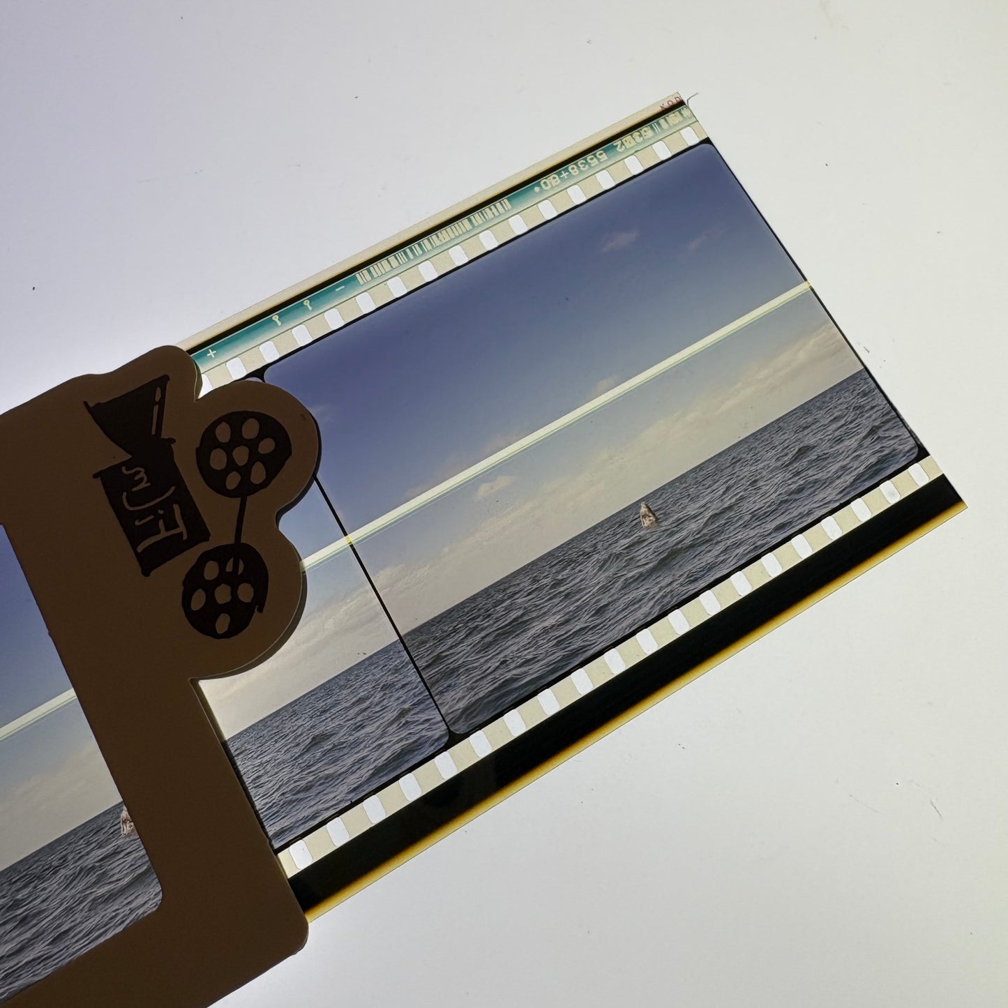 IMAX Screening Film cells,bookmark-scene of Single humpback whales-Filmdongdong