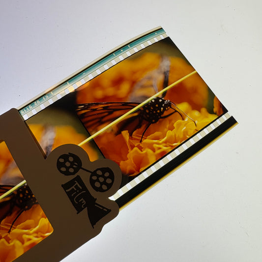 IMAX Screening Film cells,bookmark-scene of Single butterfly-Filmdongdong