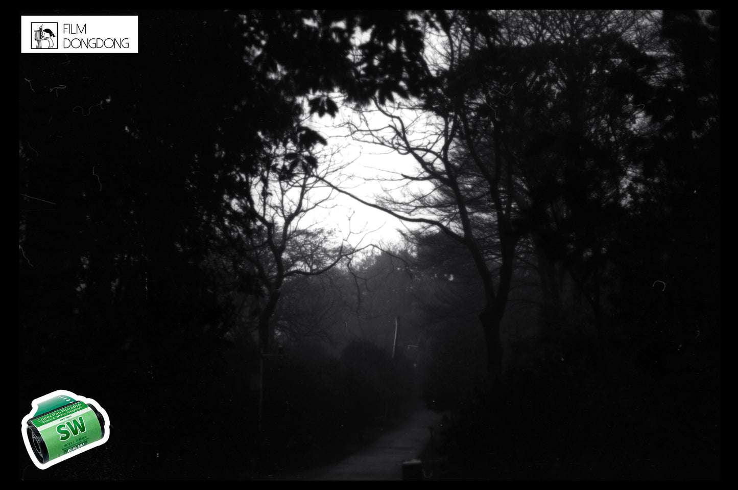 FILMDONGDONG SW B&W 135film, 35mm high contrast oily detailed ISO12