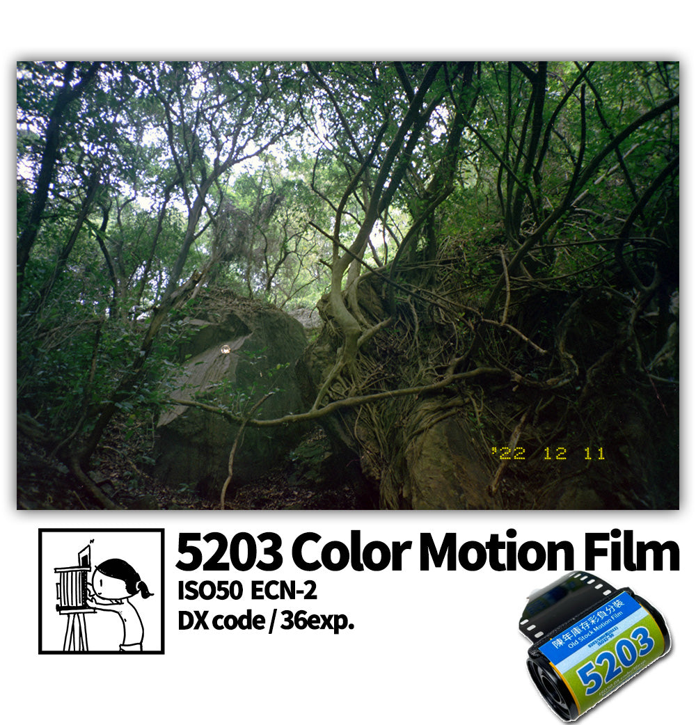 FILMDONGDONG 5203/50D ISO50 35mm Color Negative Motion Film ECN-2,36exp