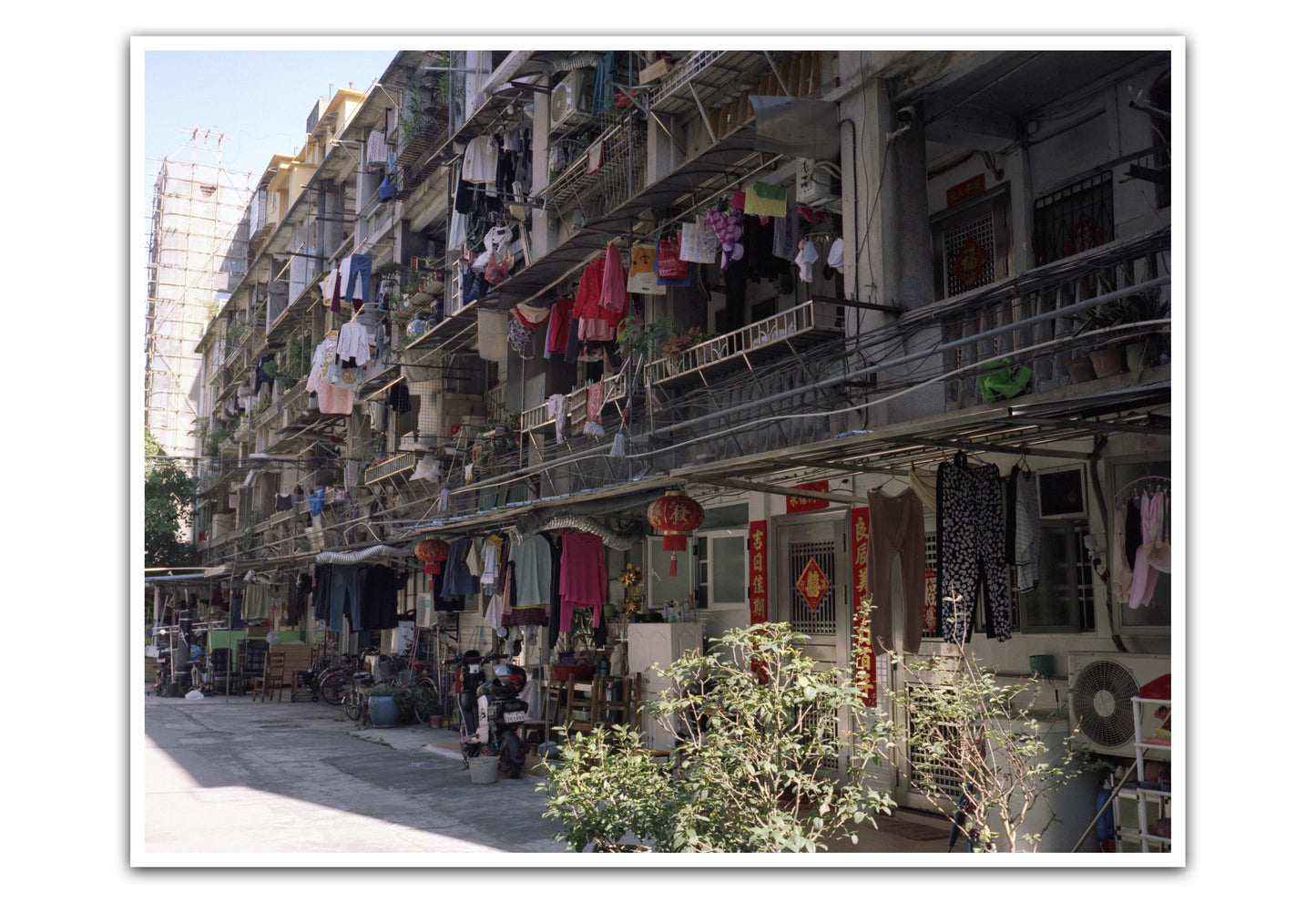 FIILMDONGDONG Large Format Film, AEROCOLOR III Large Format 4''x5'' Film, Color Negative Film,C-41, 6 Sheets Per Pack