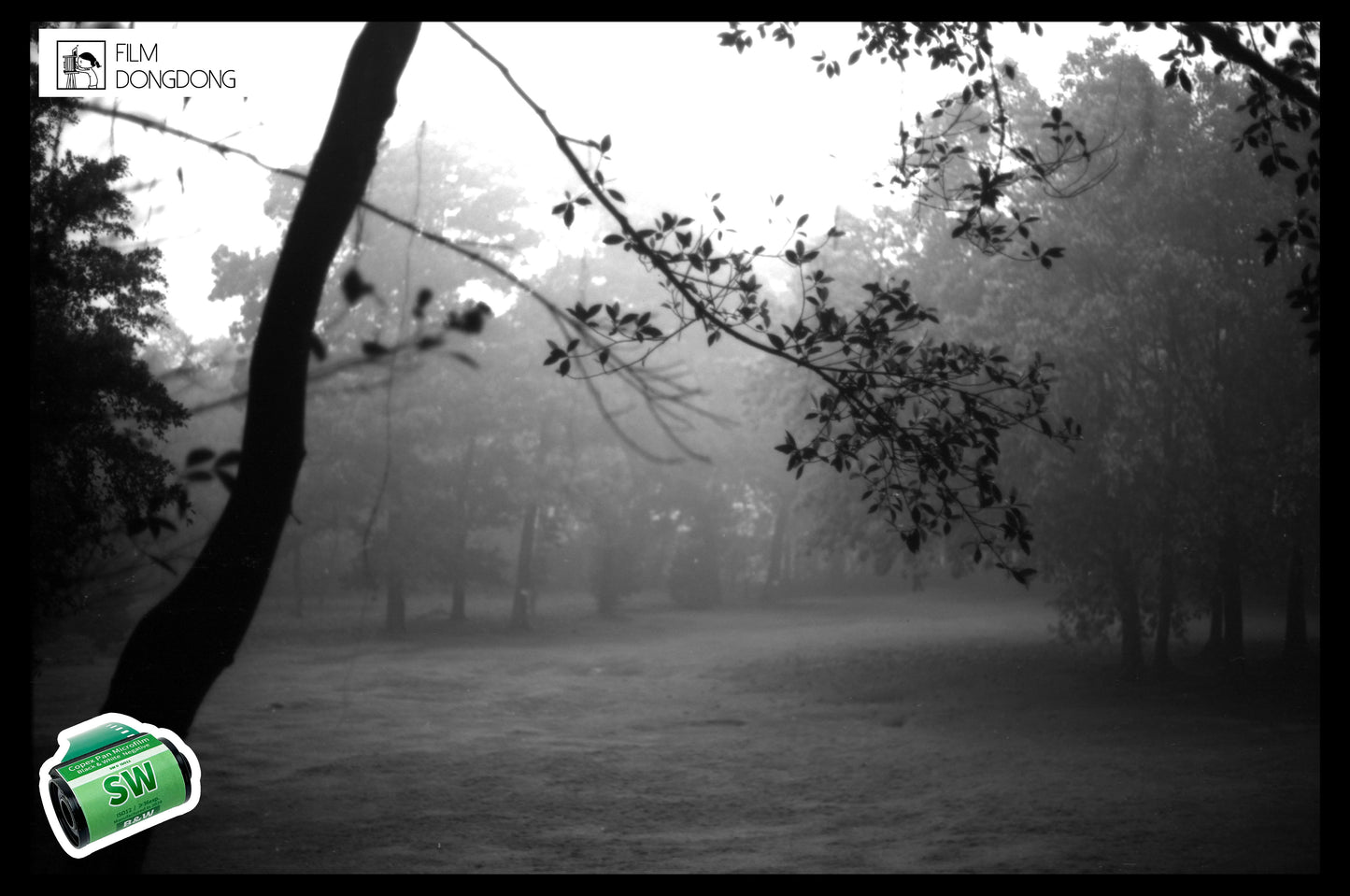 FILMDONGDONG SW B&W 135film, 35mm high contrast oily detailed ISO12