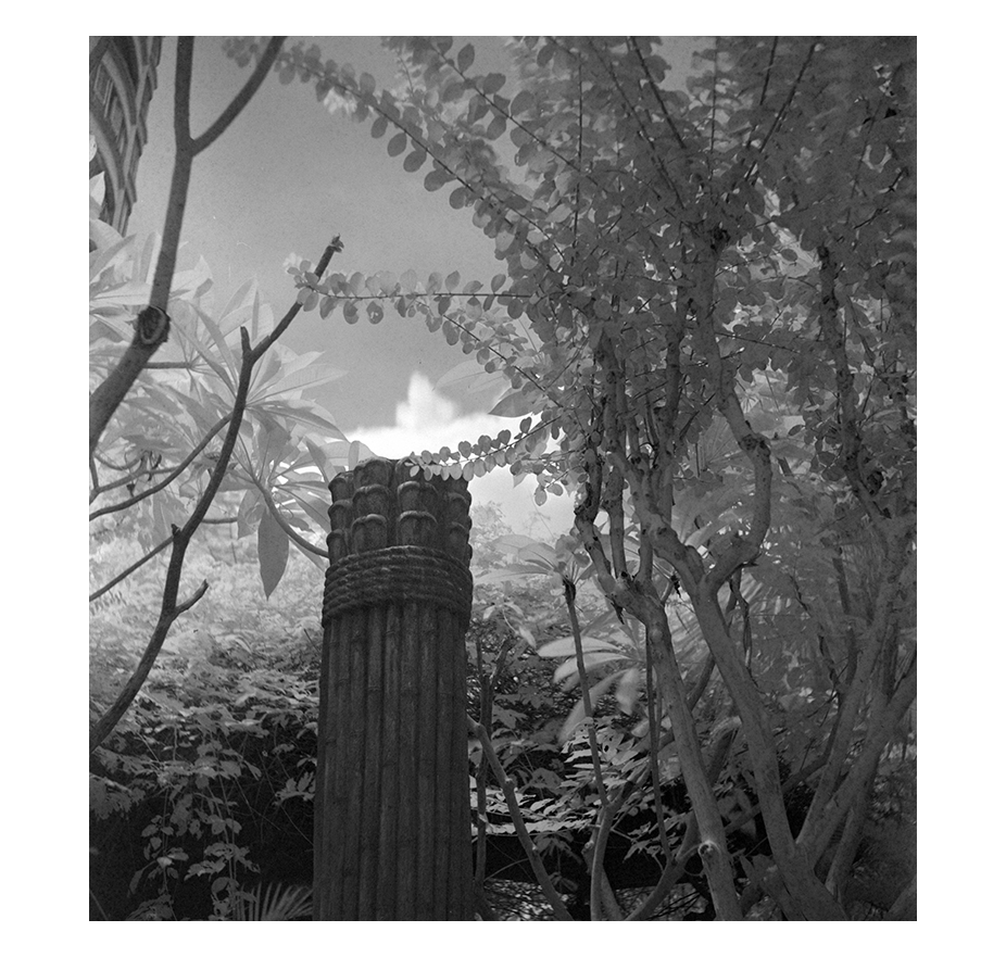 16 Pieces 127film, 4x4 Aviphot 120 film, B&W /infrared film, ISO100